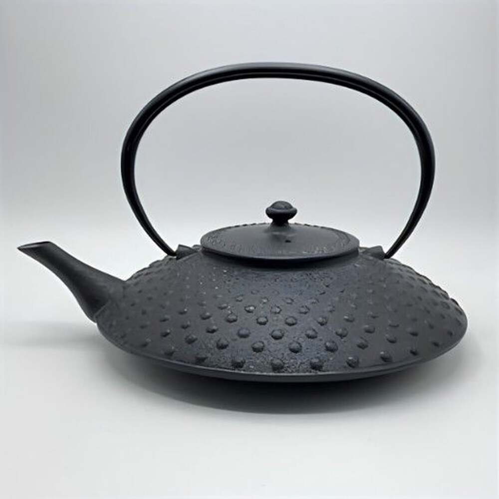 Authentic Wazuqu Kikuchi Hojudo Cast Iron Teapot Tetsukyusu Arare Signed - Japan